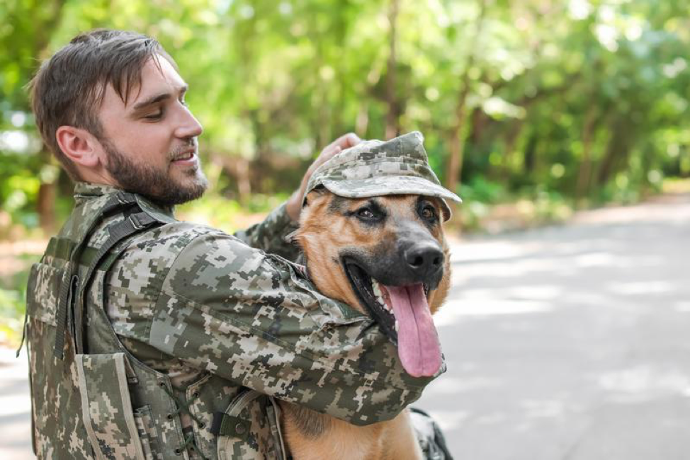 Do Soldiers Get To Keep Their Dogs